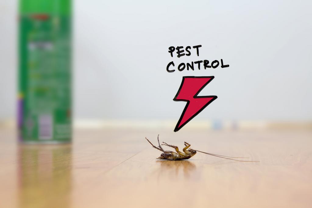 Bakersfield Pest Control Company | Pest Control Companies Bakersfield | PESTX