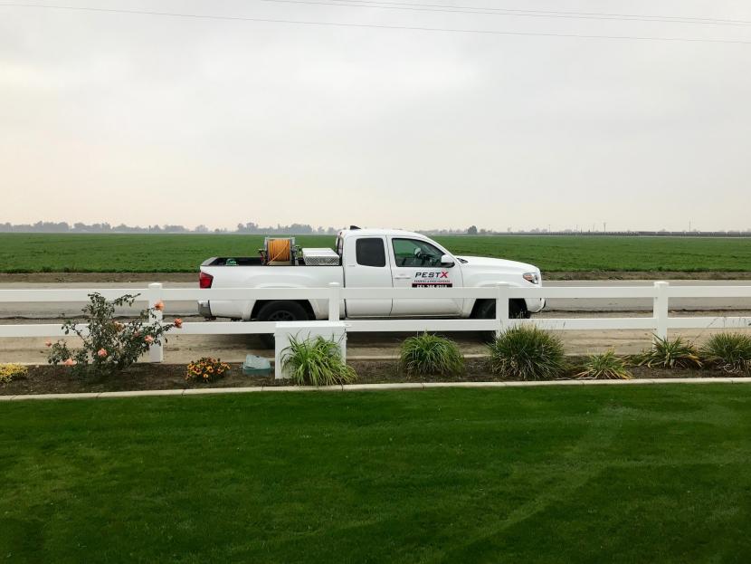 pest control Bakersfield Archives PESTX